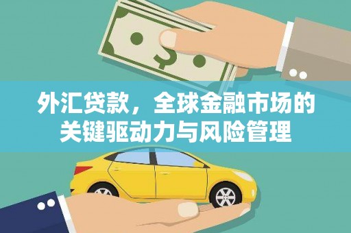 黔东南外汇贷款，全球金融市场的关键驱动力与风险管理