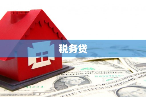 黔东南税务贷