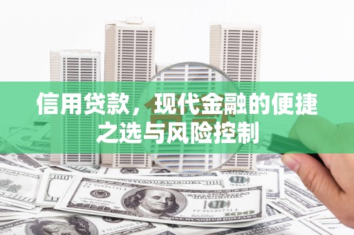 黔东南信用贷款，现代金融的便捷之选与风险控制
