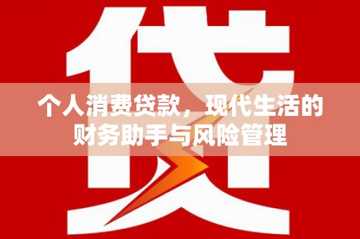 黔东南个人消费贷款，现代生活的财务助手与风险管理