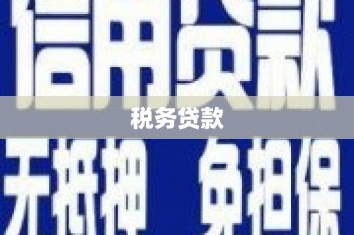 黔东南税务贷款