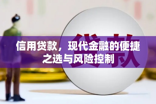 黔东南信用贷款，现代金融的便捷之选与风险控制