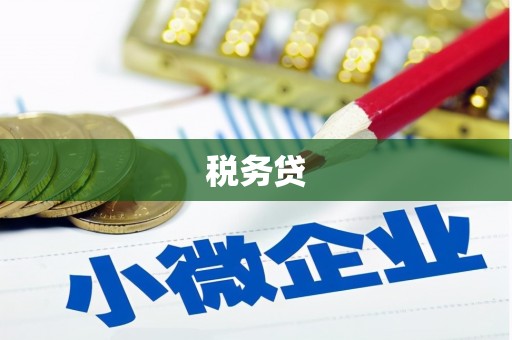 黔东南税务贷