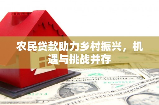 黔东南农民贷款助力乡村振兴，机遇与挑战并存