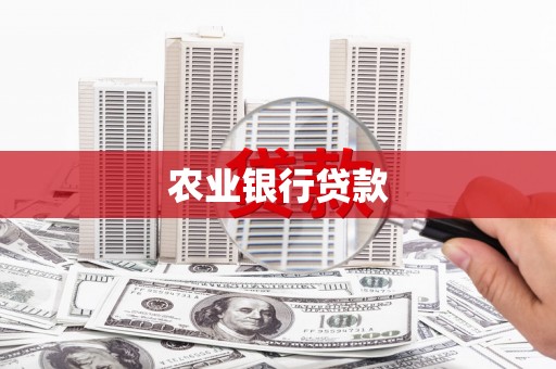 黔东南农业银行贷款