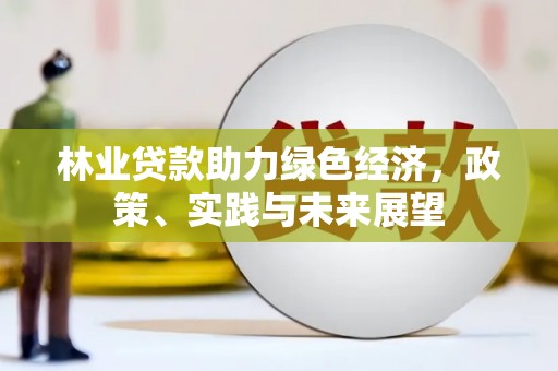 黔东南林业贷款助力绿色经济，政策、实践与未来展望