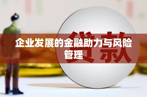 黔东南企业发展的金融助力与风险管理