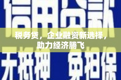 黔东南税务贷，企业融资新选择，助力经济腾飞