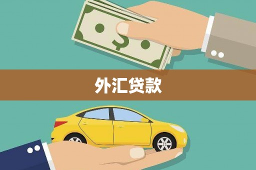 黔东南外汇贷款