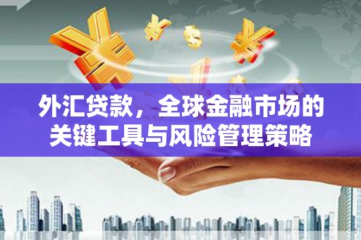 黔东南外汇贷款，全球金融市场的关键工具与风险管理策略