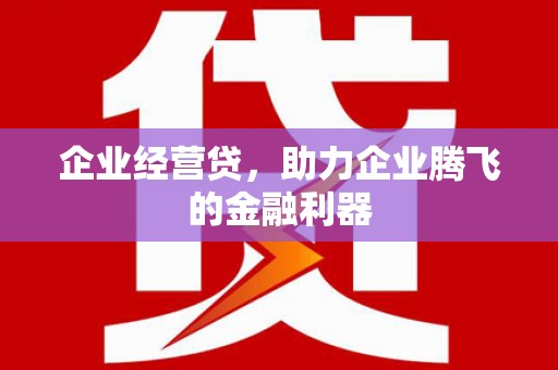 黔东南企业经营贷，助力企业腾飞的金融利器