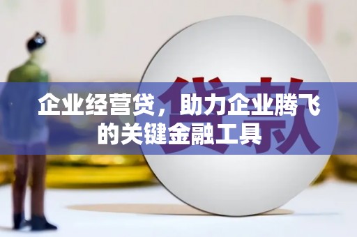 黔东南企业经营贷，助力企业腾飞的关键金融工具