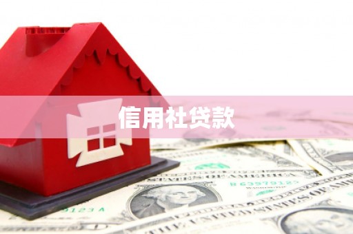 黔东南信用社贷款