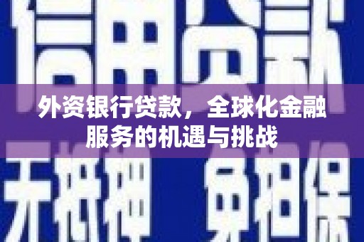 黔东南外资银行贷款，全球化金融服务的机遇与挑战