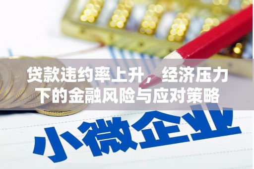 黔东南贷款违约率上升，经济压力下的金融风险与应对策略