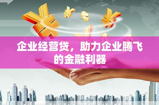 黔东南企业经营贷，助力企业腾飞的金融利器