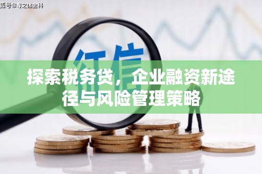 黔东南探索税务贷，企业融资新途径与风险管理策略
