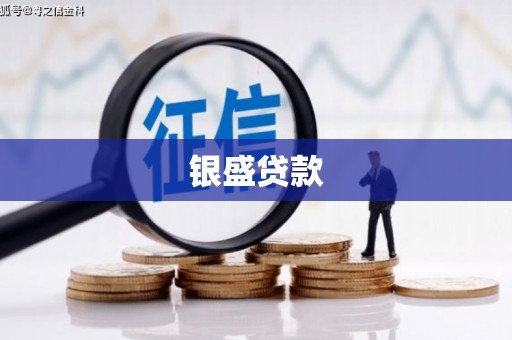 黔东南银盛贷款