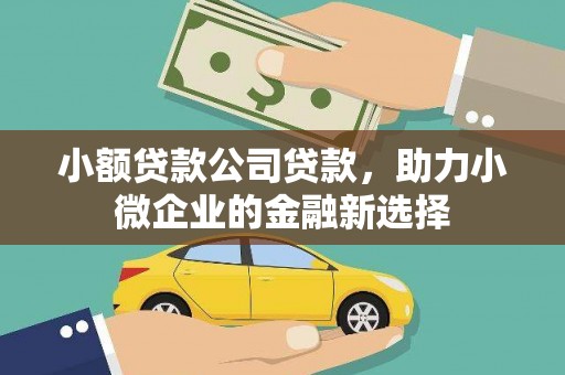 黔东南小额贷款公司贷款，助力小微企业的金融新选择
