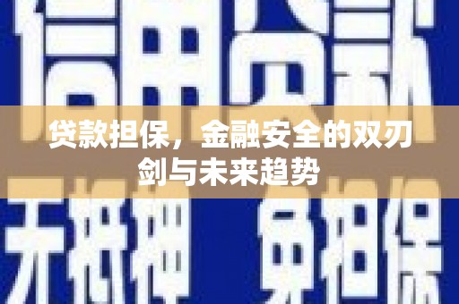 黔东南贷款担保，金融安全的双刃剑与未来趋势