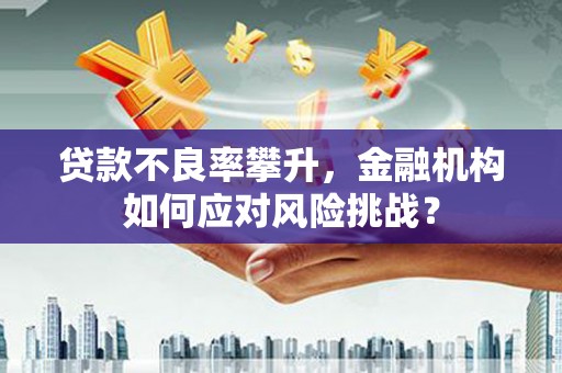 黔东南贷款不良率攀升，金融机构如何应对风险挑战？