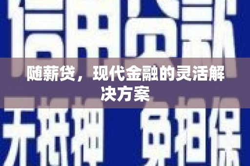黔东南随薪贷，现代金融的灵活解决方案