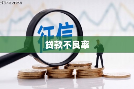 黔东南贷款不良率