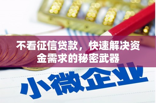 黔东南不看征信贷款，快速解决资金需求的秘密武器