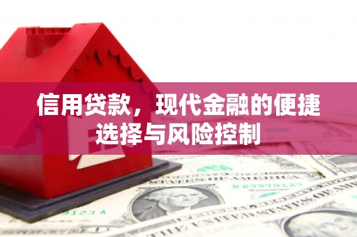 黔东南信用贷款，现代金融的便捷选择与风险控制