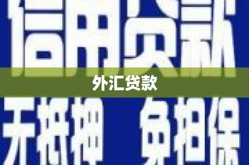 黔东南外汇贷款