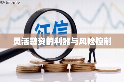 黔东南灵活融资的利器与风险控制