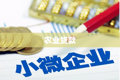 黔东南农业贷款