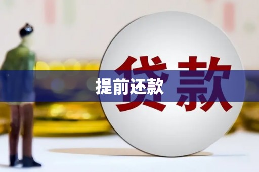 黔东南提前还款