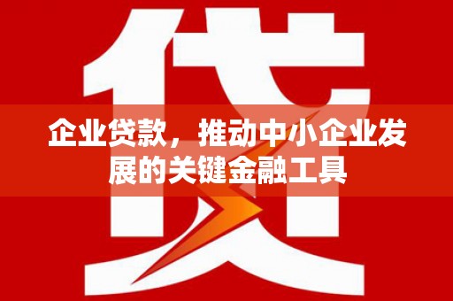 黔东南企业贷款，推动中小企业发展的关键金融工具