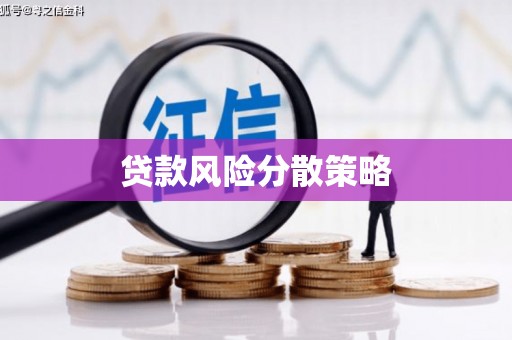 黔东南贷款风险分散策略
