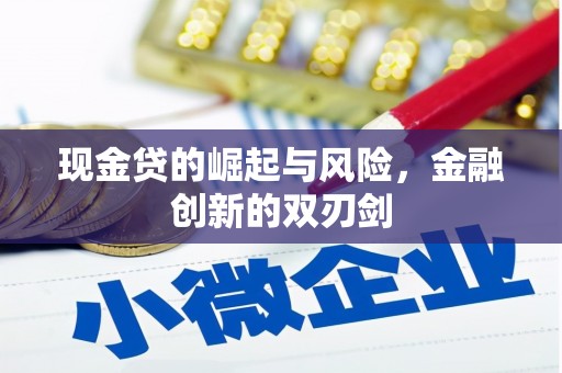 黔东南现金贷的崛起与风险，金融创新的双刃剑
