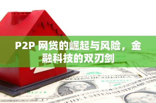 黔东南P2P 网贷的崛起与风险，金融科技的双刃剑