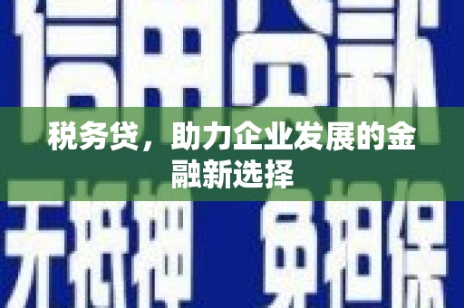 黔东南税务贷，助力企业发展的金融新选择