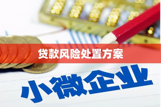 黔东南贷款风险处置方案