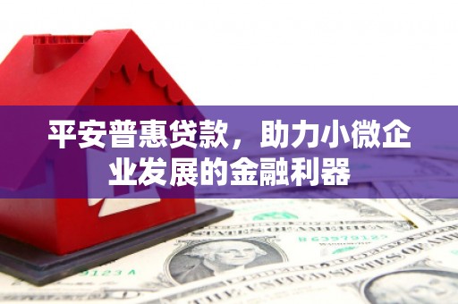 黔东南平安普惠贷款，助力小微企业发展的金融利器