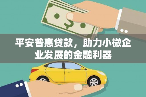 黔东南平安普惠贷款，助力小微企业发展的金融利器