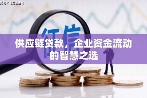 黔东南供应链贷款，企业资金流动的智慧之选