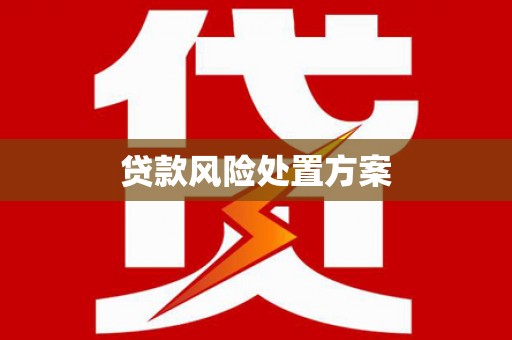 黔东南贷款风险处置方案