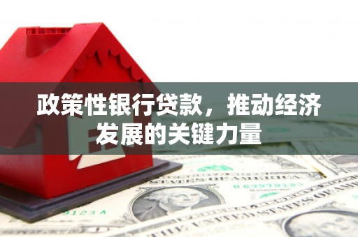 黔东南政策性银行贷款，推动经济发展的关键力量