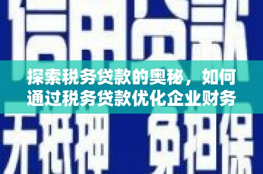 黔东南探索税务贷款的奥秘，如何通过税务贷款优化企业财务