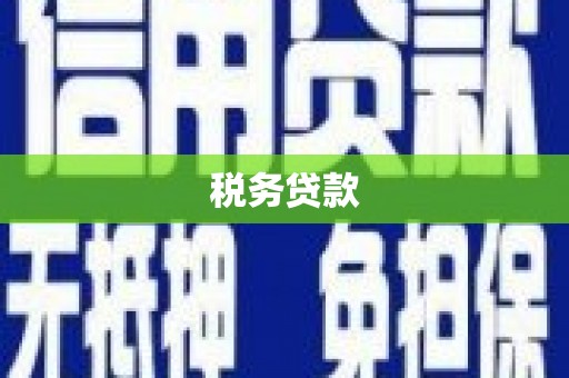 黔东南税务贷款