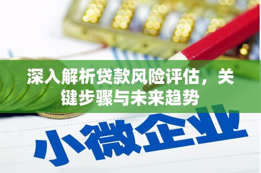 黔东南深入解析贷款风险评估，关键步骤与未来趋势