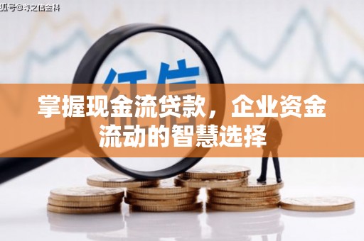 黔东南掌握现金流贷款，企业资金流动的智慧选择