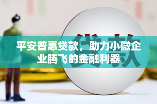 黔东南平安普惠贷款，助力小微企业腾飞的金融利器