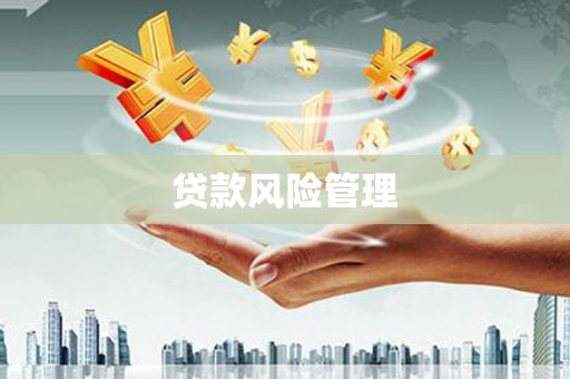黔东南贷款风险管理